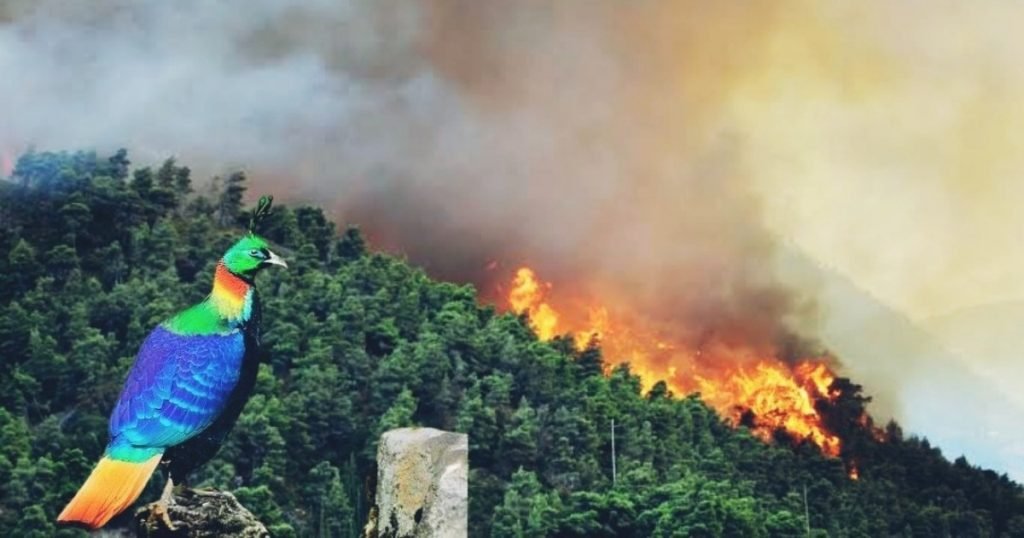 उत्तराखंड के जंगल की आग और पलायन के दंश पर एक मार्मिक लोक कथा