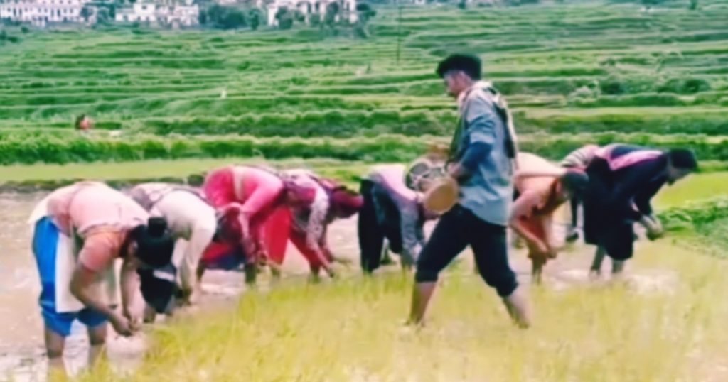 हुड़किया बौल उत्तराखंडी कृषि गीत