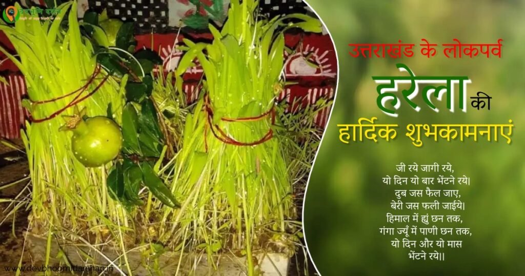 हरेला पर्व का महत्व और हरेला पर्व की शुभकामनाएं। Harela festival 2023