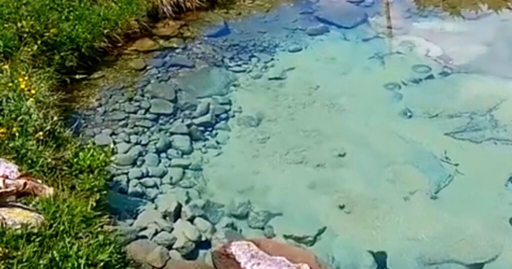 मंगलाछू ताल