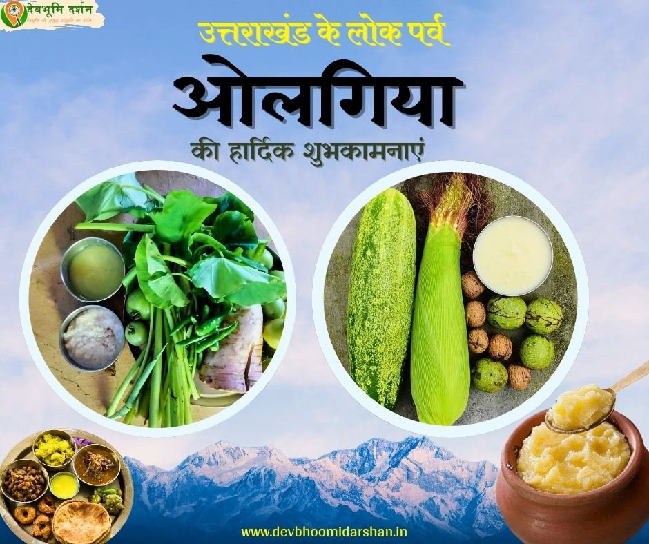 घी त्यार या ओलगिया त्यौहार का इतिहास और महत्व | Importance of ghee tyar 2024