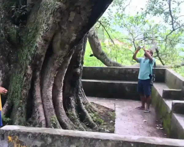 पंच भैया खाल | गढ़वाल का ऐतिहासिक स्थल और कठैत भाइयों की कहानी 1 पंच भैया खाल