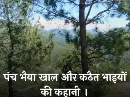 पंच भैया खाल