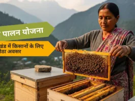 मौन पालन योजना: उत्तराखंड में किसानों के लिए एक मीठा अवसर