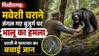 Pithoragarh: मवेशी चराने जंगल गए बुजुर्ग पर भालू का हमला, दराती से पलटवार कर बचाई जान Pithoragarh: मवेशी चराने जंगल गए बुजुर्ग पर भालू का हमला, दराती से पलटवार कर बचाई जान
