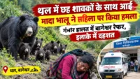 थल में छह शावकों के साथ आई मादा भालू ने महिला पर किया हमला, गंभीर हालत में बागेश्वर रेफर, इलाके में दहशत थल में छह शावकों के साथ आई मादा भालू ने महिला पर किया हमला, गंभीर हालत में बागेश्वर रेफर, इलाके में दहशत