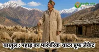 बाखूल: पहाड़ों में भेड़ की ऊन से बनी प्राकृतिक ‘वाटरप्रूफ जैकेट’ बाखूल: पहाड़ों में भेड़ की ऊन से बनी प्राकृतिक ‘वाटरप्रूफ जैकेट’